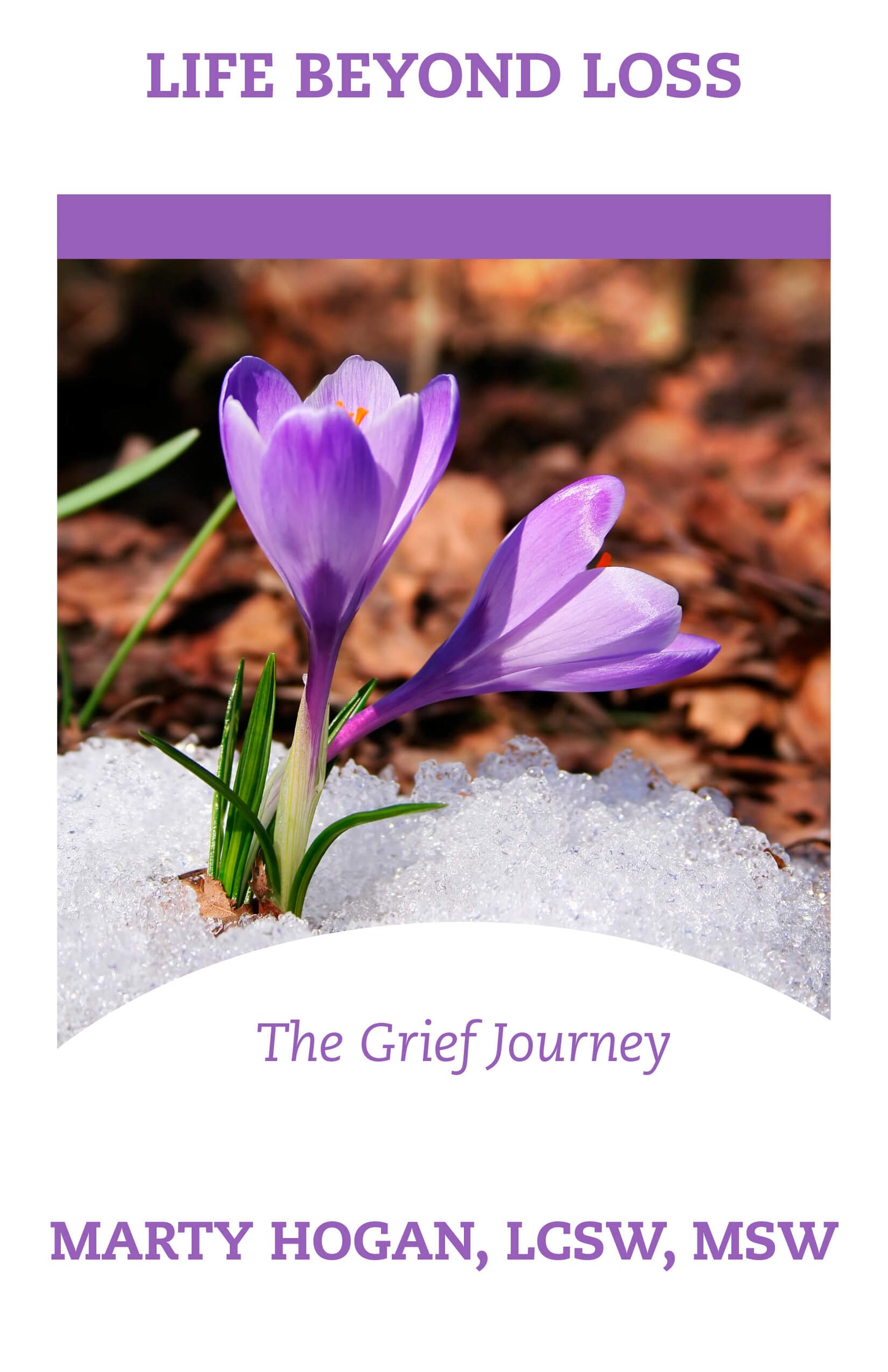 Life Beyond Loss - The Grief Journey